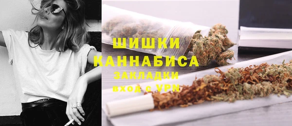 ГАЛЛЮЦИНОГЕННЫЕ ГРИБЫ Аркадак