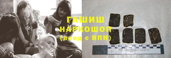 твердый Туринск