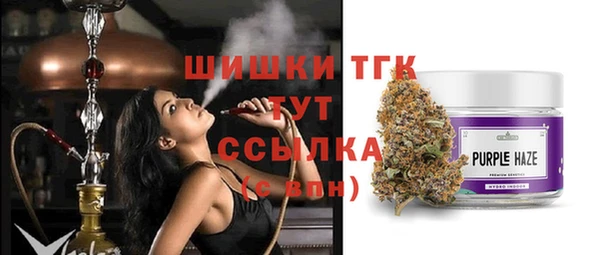 ГАЛЛЮЦИНОГЕННЫЕ ГРИБЫ Аркадак