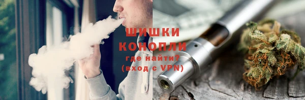 ГАЛЛЮЦИНОГЕННЫЕ ГРИБЫ Аркадак
