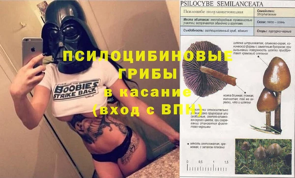 MESCALINE Арсеньев
