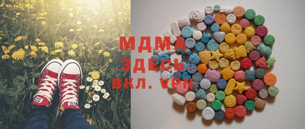 твердый Туринск