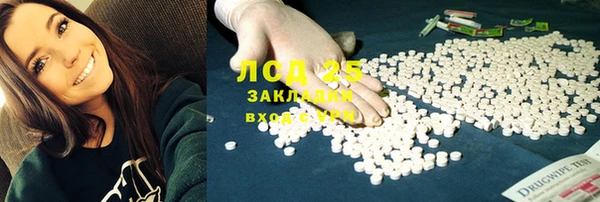 ГАЛЛЮЦИНОГЕННЫЕ ГРИБЫ Аркадак